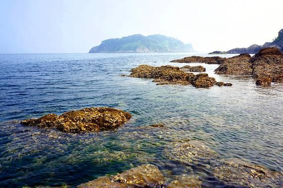 逃出漂亮花谷