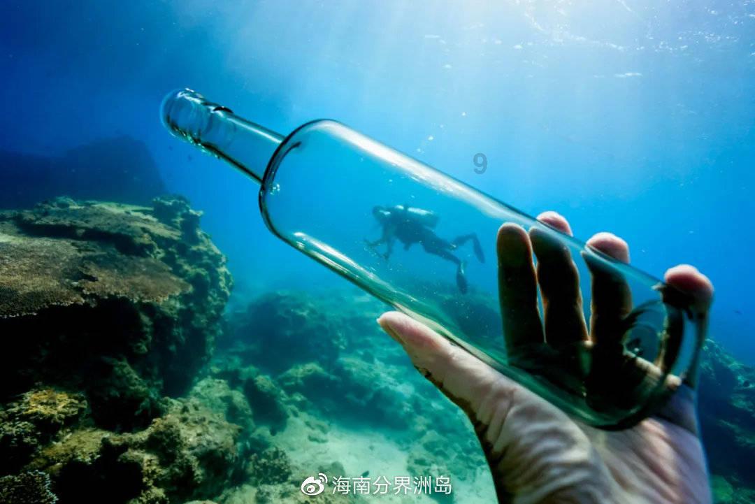 细胞分裂6